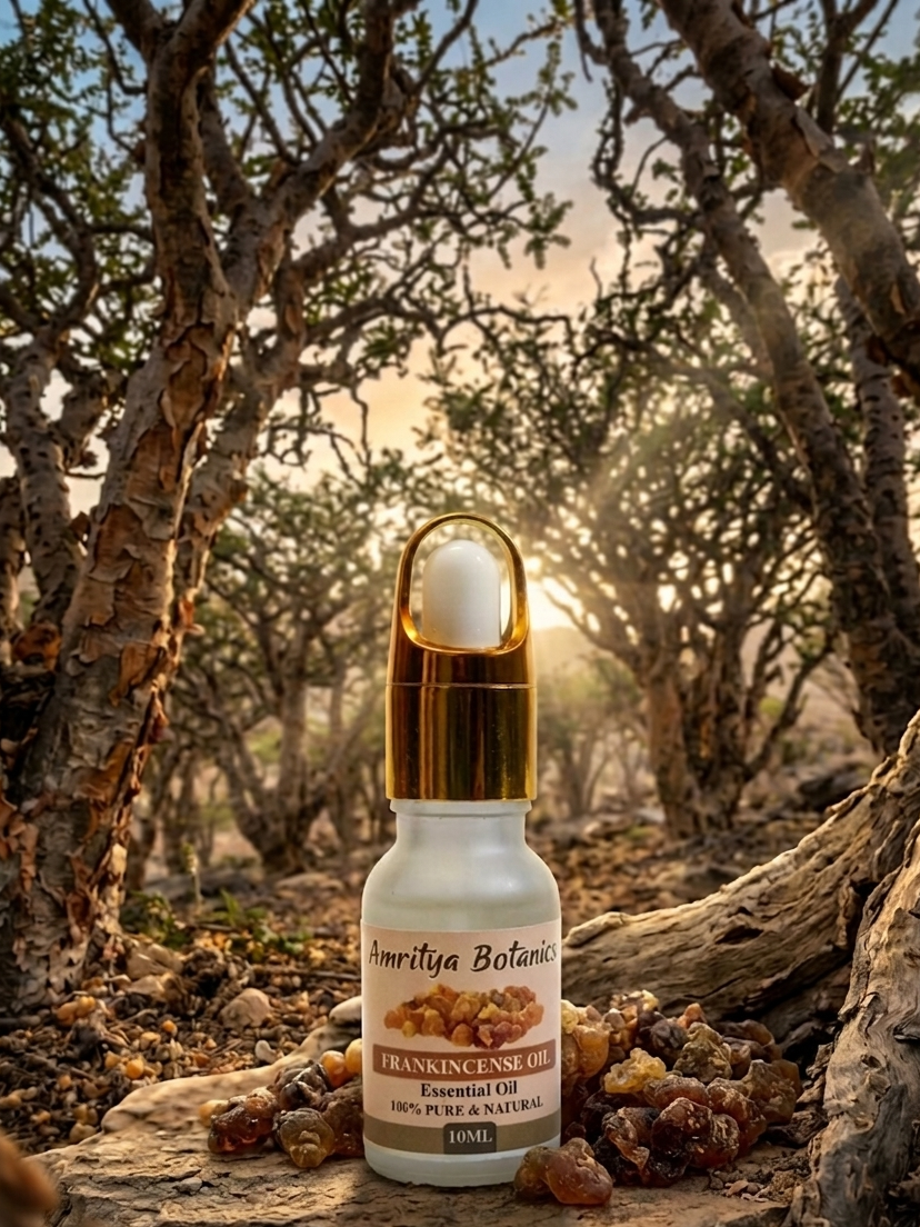 Frankincense Essential Oil